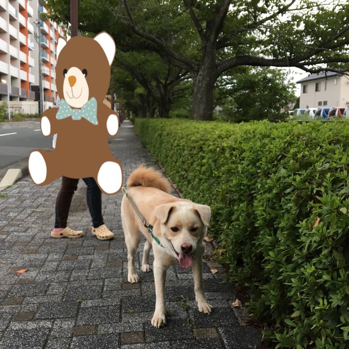 D9a8515d 64ac 42a8 a789 7c285d596a07