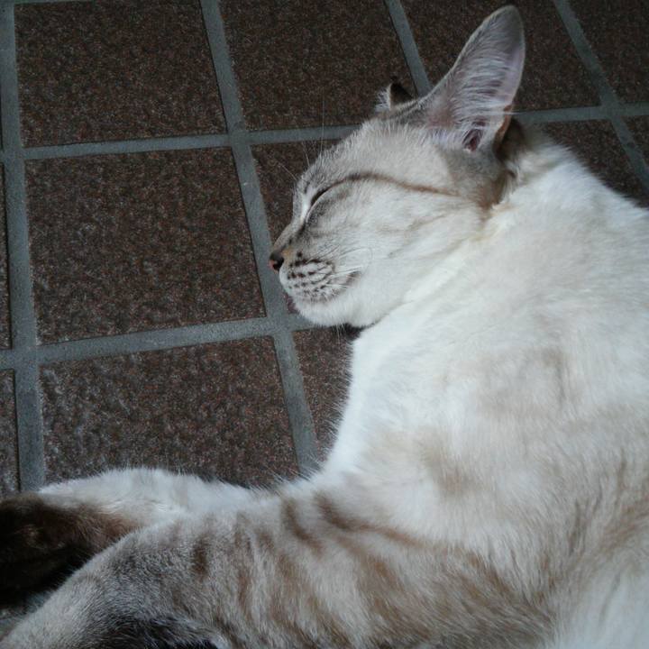 D9a8e686 062c 4bcf a2cb 8768abfb07d9