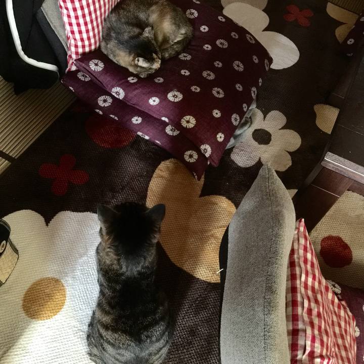 D9a903c0 f90c 4f49 abd7 25b58c6d2fa1