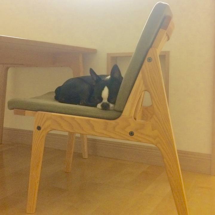 D9aa9f61 511e 4d71 87ac 1c5a08a5bb42