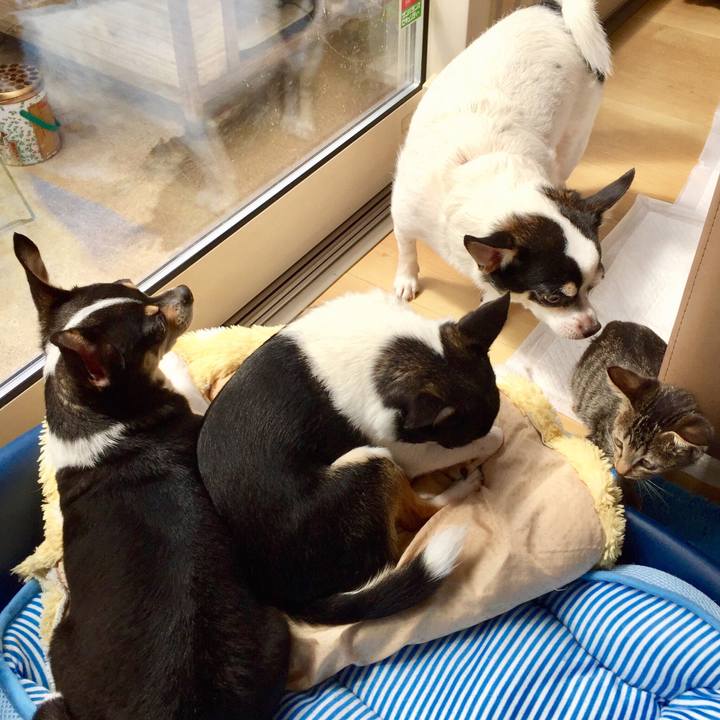 D9aac568 5e2b 40c3 8f1b 59a95d3f6a57