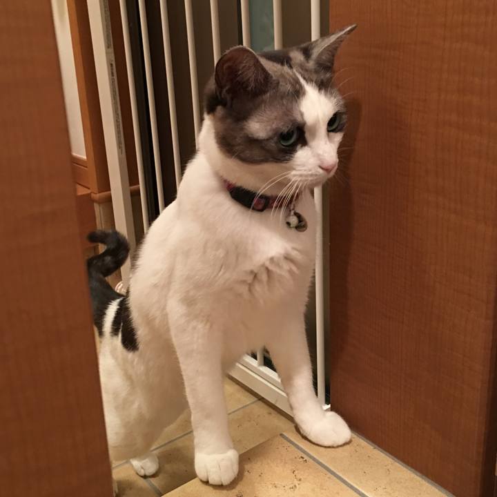 D9ab38a7 d179 4f00 880d 178a17c8e46d