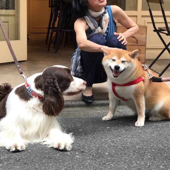 D9ab8207 c628 4284 b8b0 f83661ad27a3