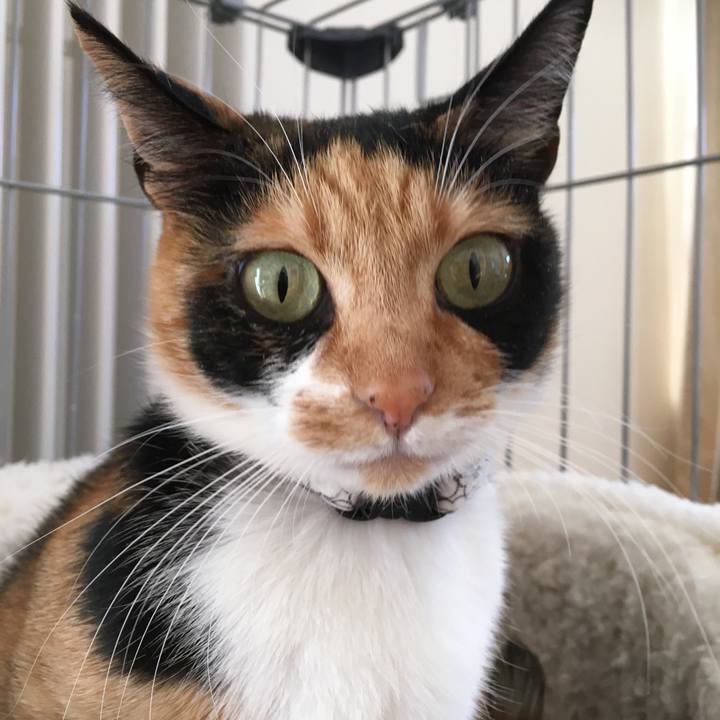 D9abf281 61da 4d6b ae66 95894d2ae8e7