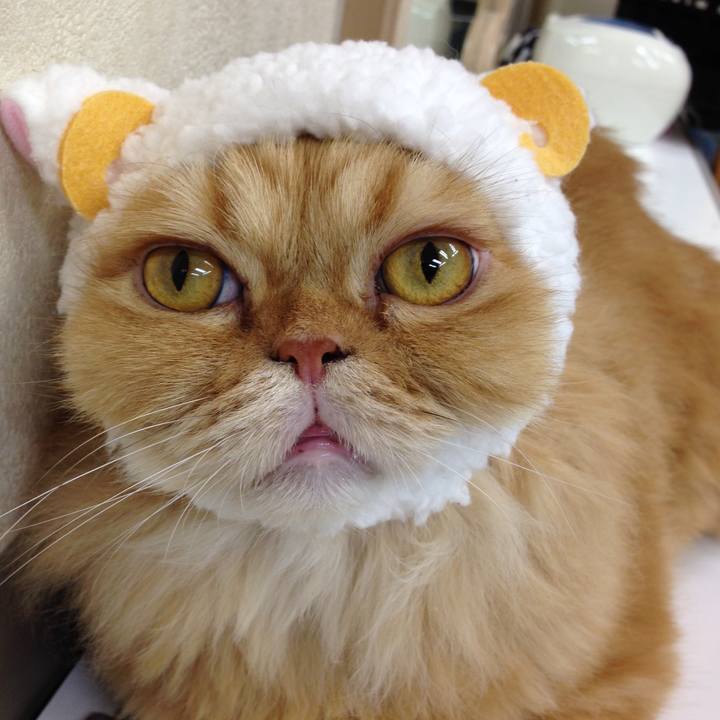 D9ac9b1e fcfb 43b8 b18a d43775a00d42