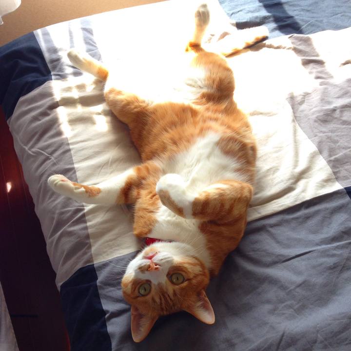 D9ac9ff6 85e0 41a0 9fec 848a954ae375