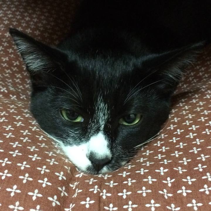 D9acd704 476c 4928 973f 6d63bcf496b0