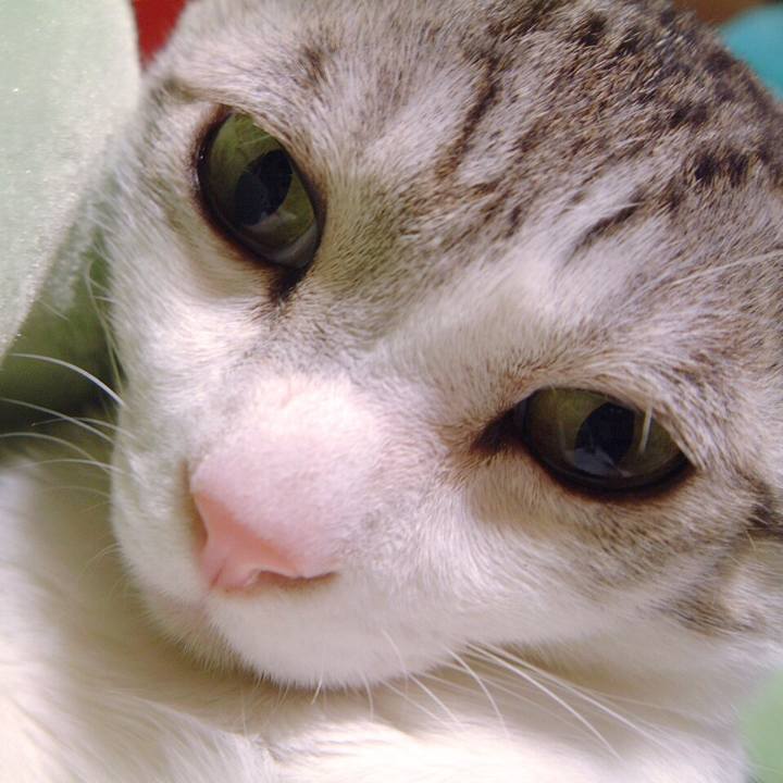 D9ace77d 9579 4e5d 91b9 f8968d9bc124