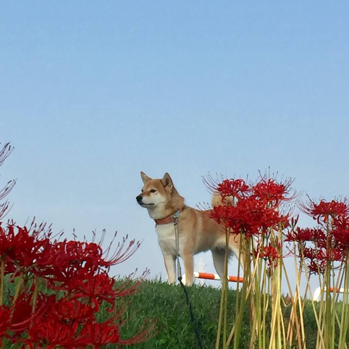 D9ad02c6 1b77 4554 ab1d fa24be56d482