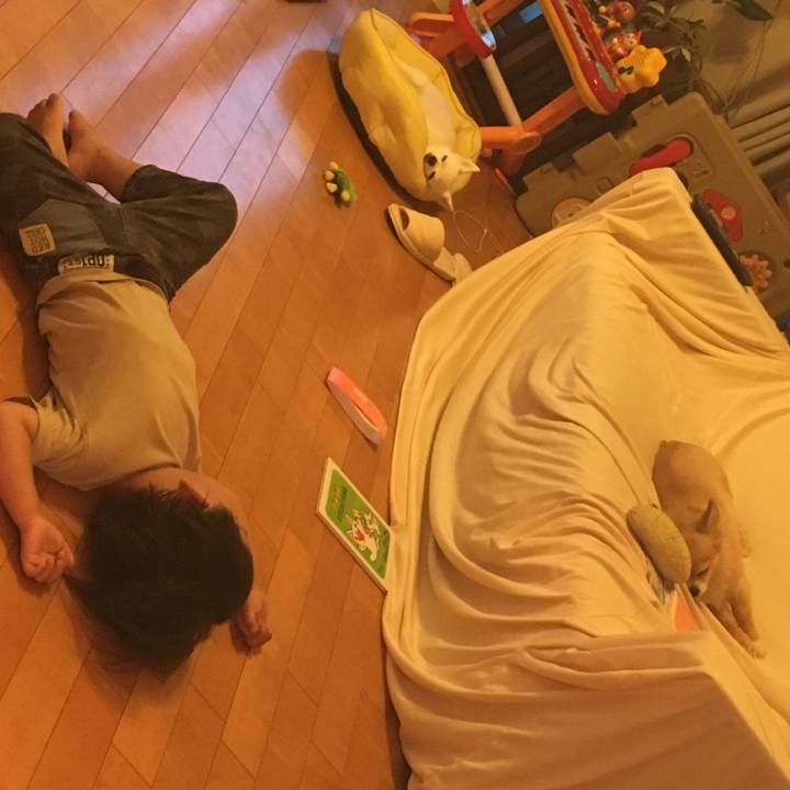 D9ad05e3 d3ef 4e85 aaaf 8794dc3acbe1