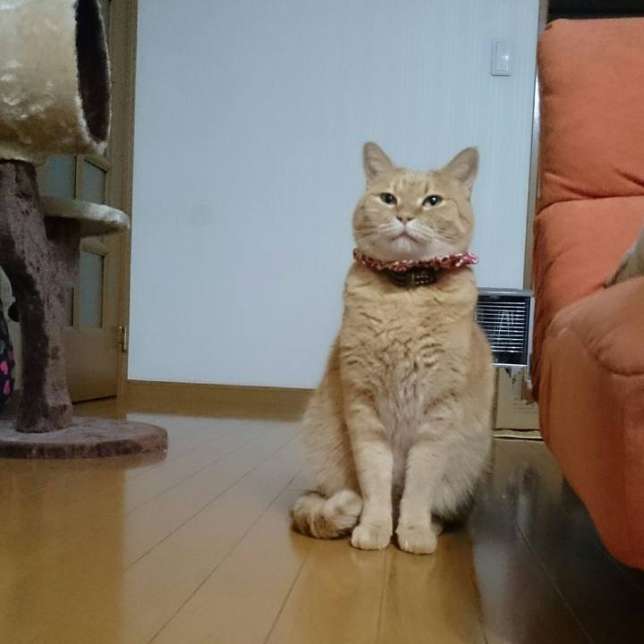 D9ad097e 3fd8 476a 9015 eea411ad80bc