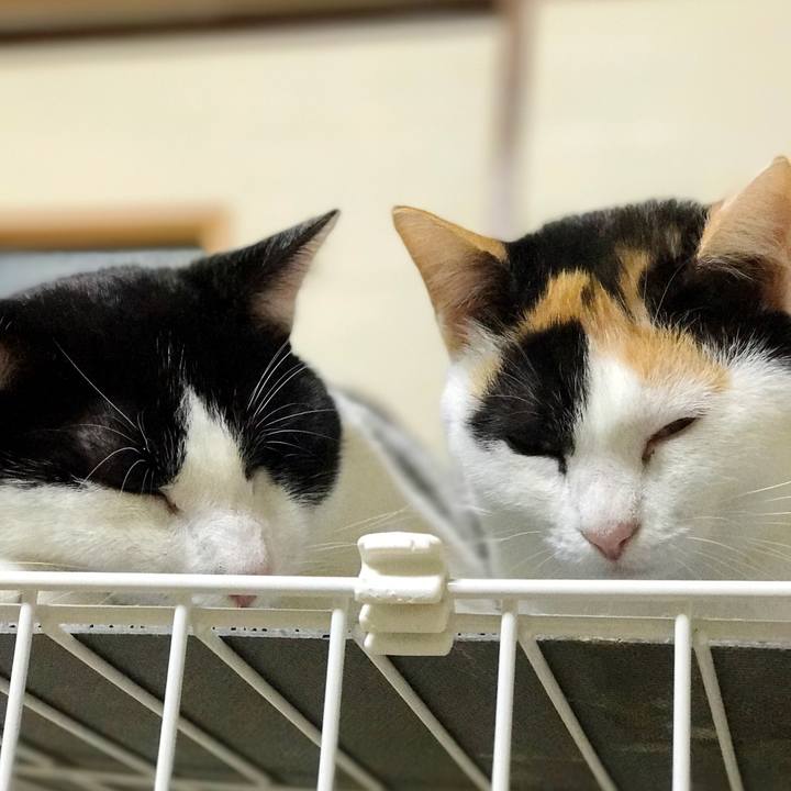 D9ad0e69 15cc 4d2d 9c0c 62fe9d16ba24