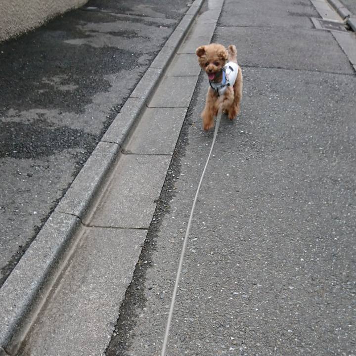 D9ad1b68 7e90 44e7 8829 de0429e7ed3c