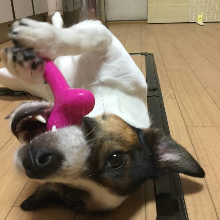 D9ad82ad 9f12 47bd b675 aa9a4024cc98