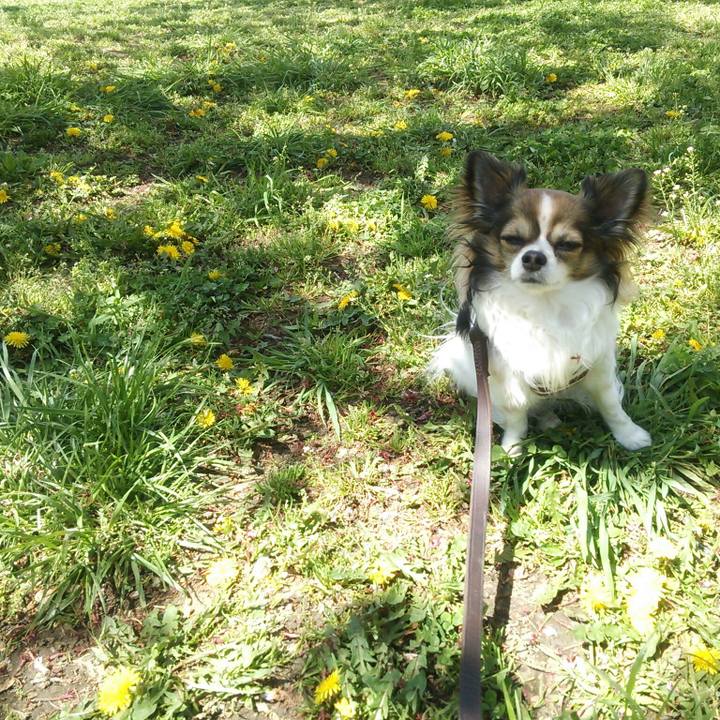 D9ada954 8f3f 41b6 8432 c8367c2f38a6