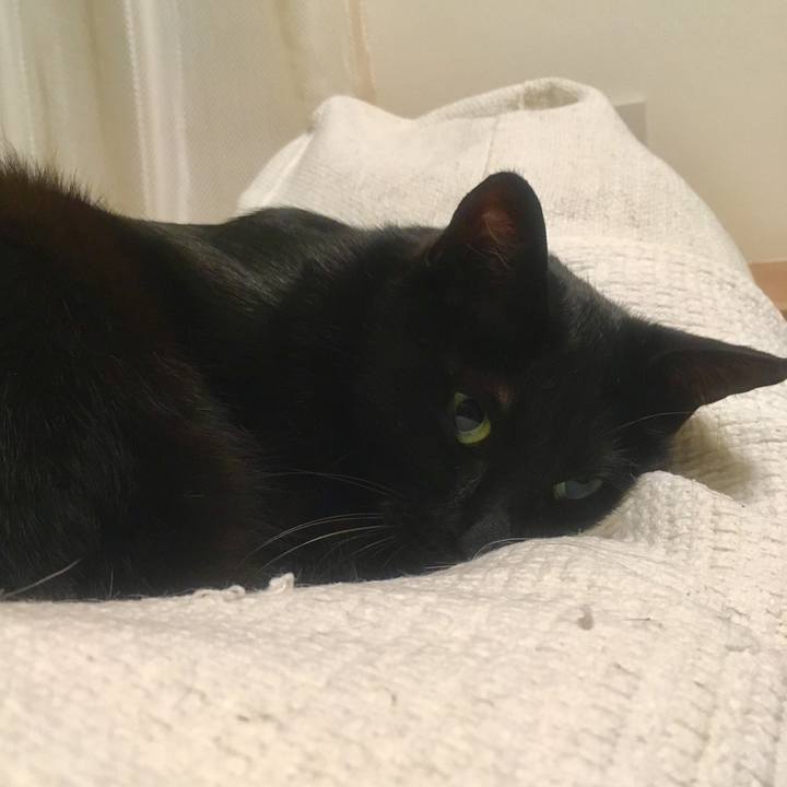 D9adbf4f 2cbd 4747 bf18 877ba86dcf86