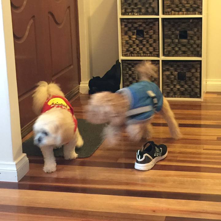 D9adf209 02b0 4a7d bee2 a5e71defbdfc