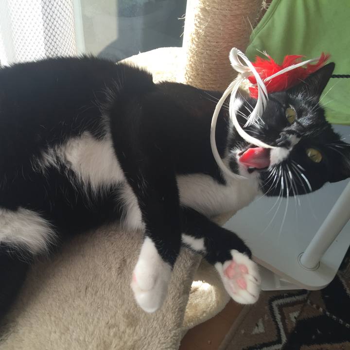 D9ae5da5 97cc 482b 86ab 9d47e04a14ed