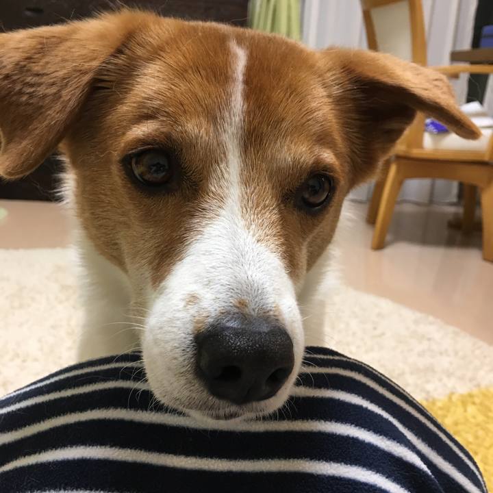 D9ae8898 6258 4262 9445 6926d8b3d89f