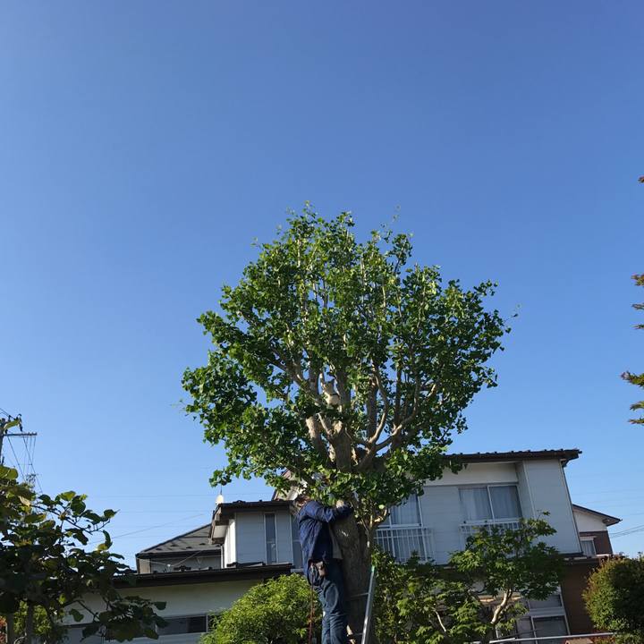 D9aeaddd e347 44a8 9b0b 288284337c18