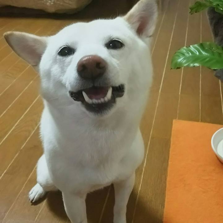 D9aed5fa 59bc 4b1c b9d7 278190000c8b