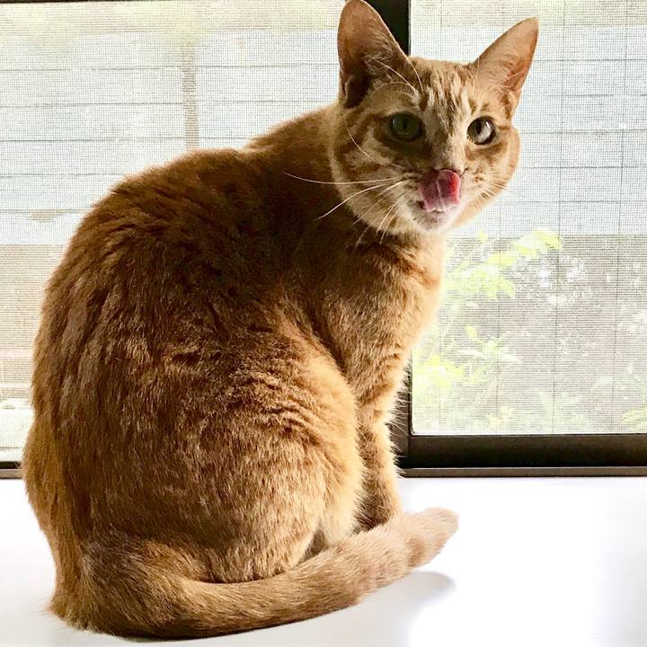 D9af43fd 9e16 46ae bd7e e38e4e9f37c9