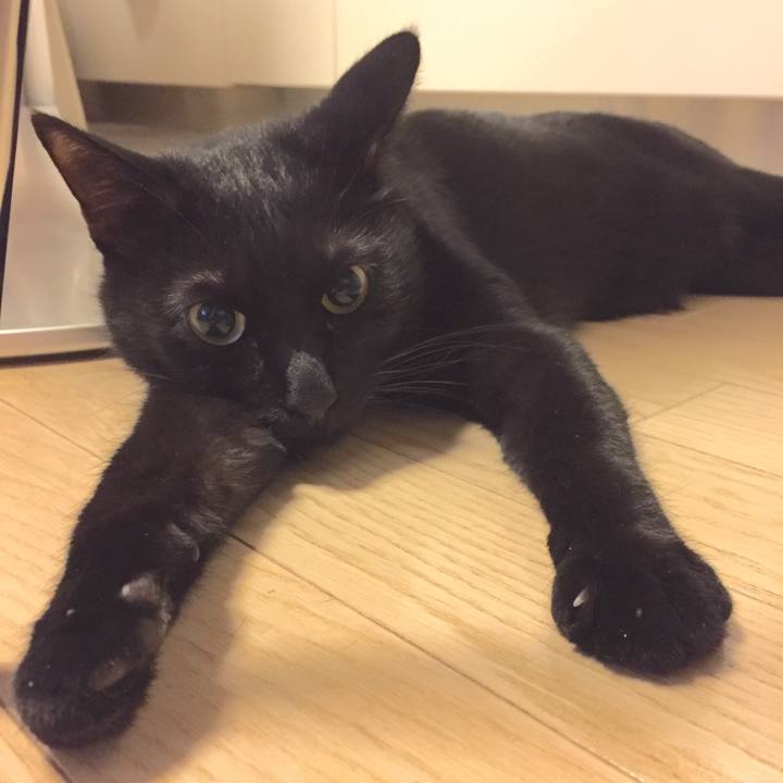 D9af96fa d9f2 4a4c 9770 6b84021dfe8d