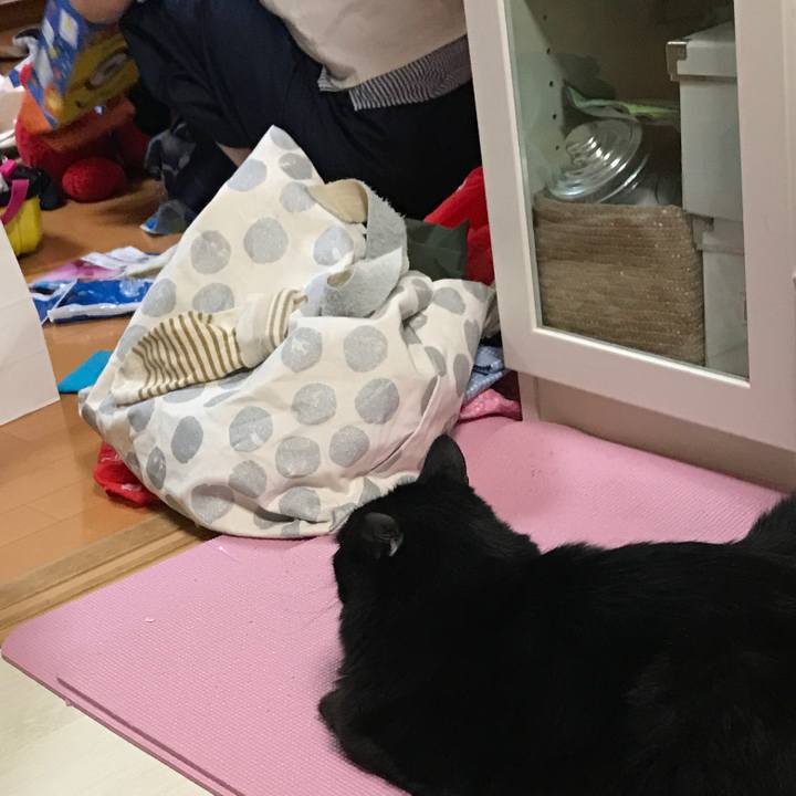 D9afa6fb f76d 4dba 813d 4d228bef2f22