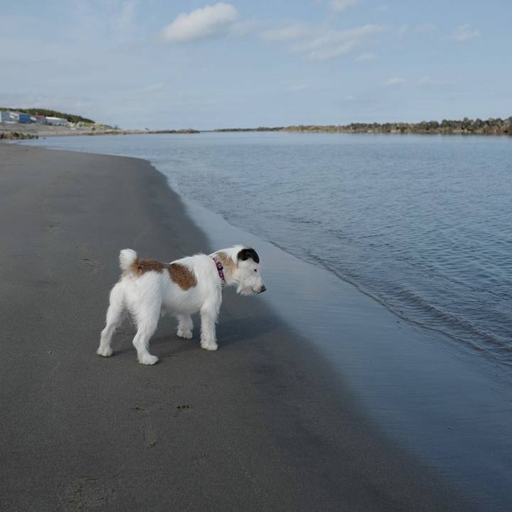 D9b02397 3c9d 4161 9f8e 5f72673bc10f