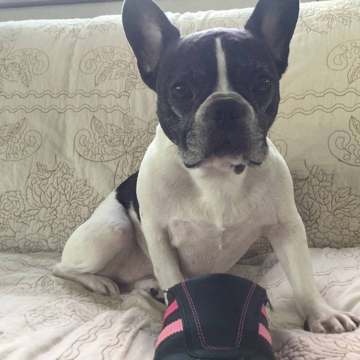 D9b0cfc7 270e 4429 a71b 5add93806221