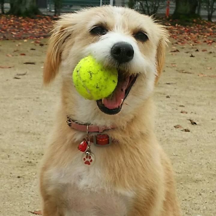 D9b1aba8 919d 41aa 955e 136b9ac5ad1a