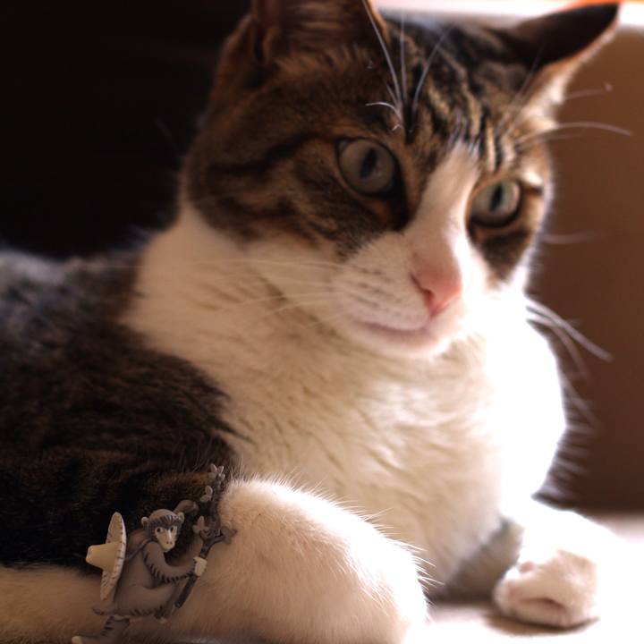 D9b29451 b779 4719 b615 09fac31a49dc