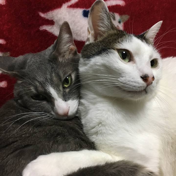 D9b2d047 9979 4f50 93d7 762972a5bc3b