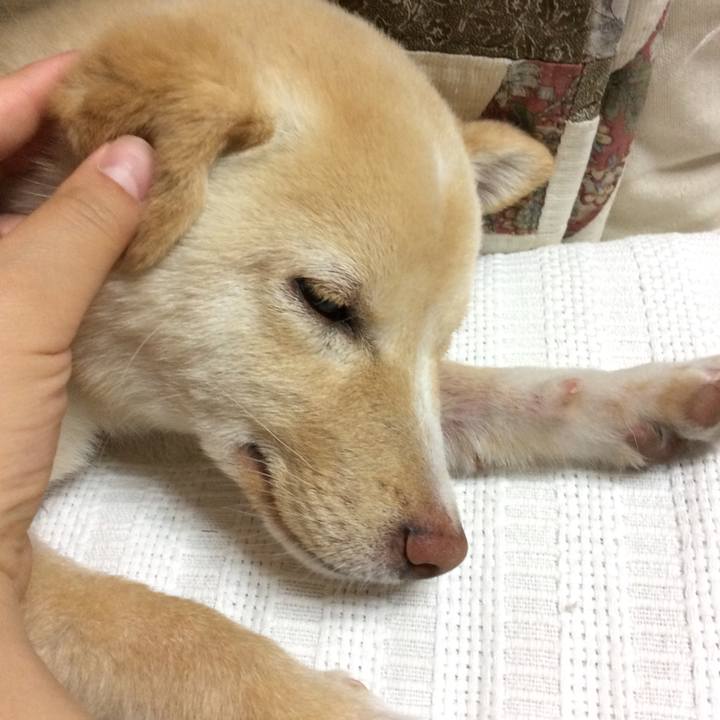 D9b2f05c 0974 4fba 9d90 0ad9ff52b2f0