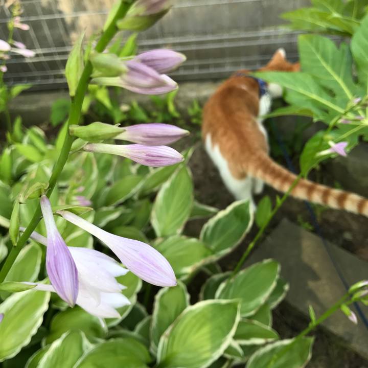 D9b30f2d 95a1 46e9 a2b0 4c2a944bb86a