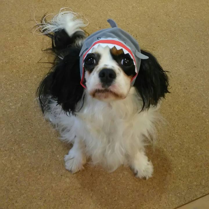 D9b37687 bdff 45f2 bdd4 569f221beda3