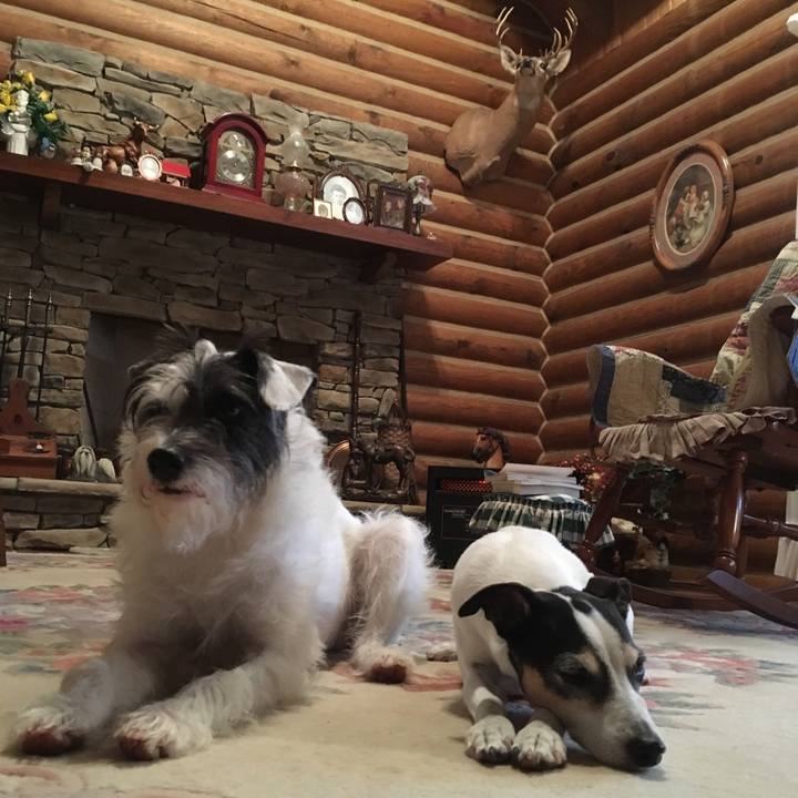 D9b3775e 8ccf 4b02 8276 97e6dbad4744