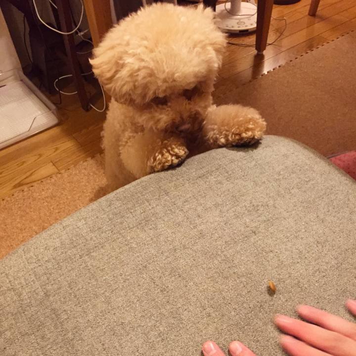 D9b3a755 35f5 4334 bdaf fd3a72a0cab5