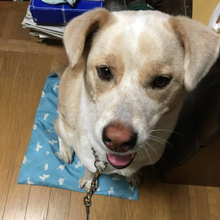 D9b3bc80 8337 49d8 92af 875ab7a7a060