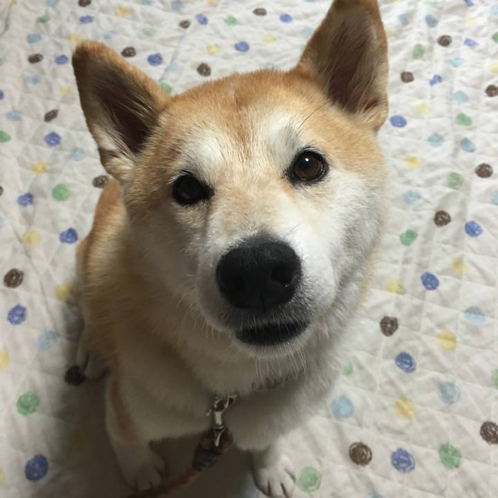 D9b3ca47 eb28 40e1 bd68 c1505b306885