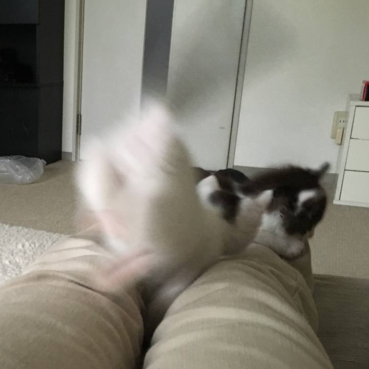 D9b43055 5b7b 445c be85 8ca009c0b444