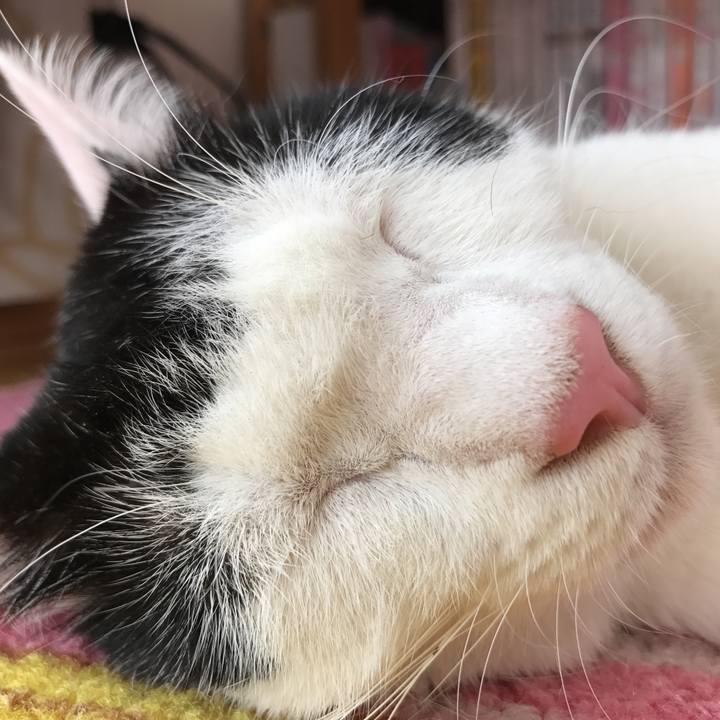 D9b46280 8b1c 4124 951d 3209b6a6fac5