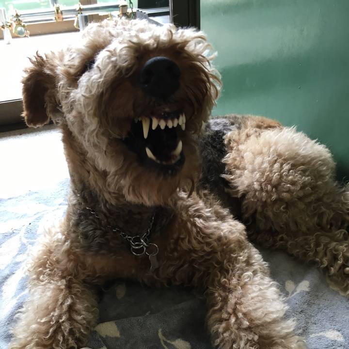 D9b47550 7c63 4117 b024 dee09e9f288e