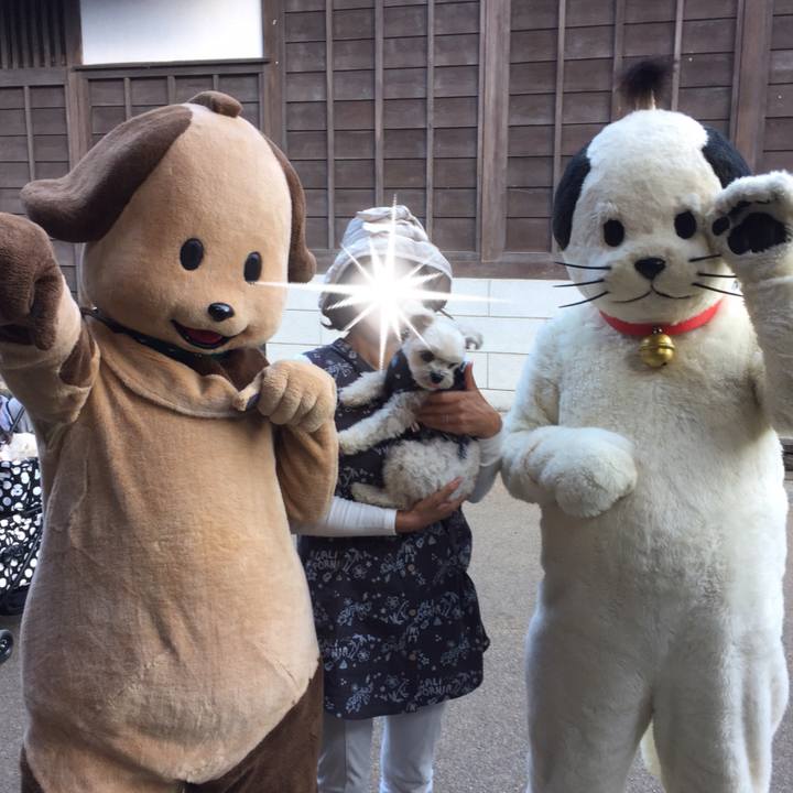 D9b55a86 6672 4681 9349 cea00cf9ba52