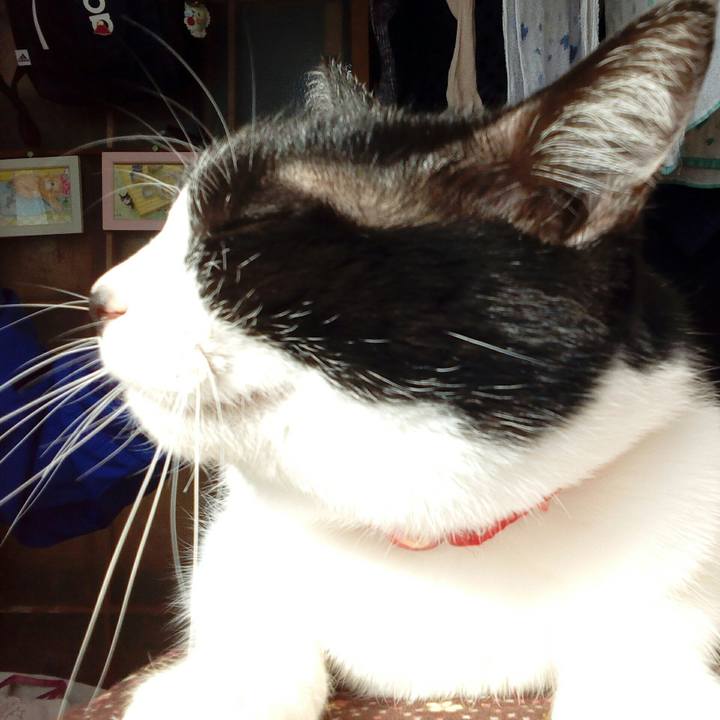 D9b5d436 d4d7 421c a285 0558ba0d52b4