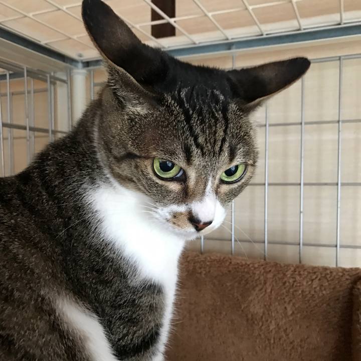 D9b5f978 4f9e 4c32 8109 434d5151ca4b