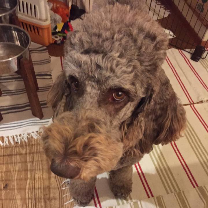 D9b5fd66 6ff4 458a 87b0 5cf6e61bbfc5