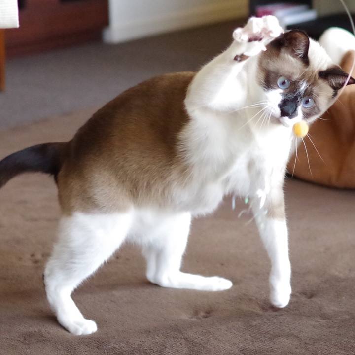 D9b6bcfa f714 4011 9d22 3d11bbfa4bdd