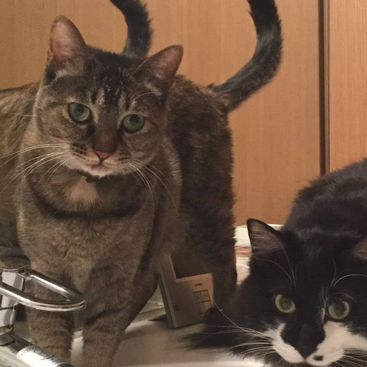 D9b6ed0c b1ac 4edd 91c0 f6a9077ffc3d