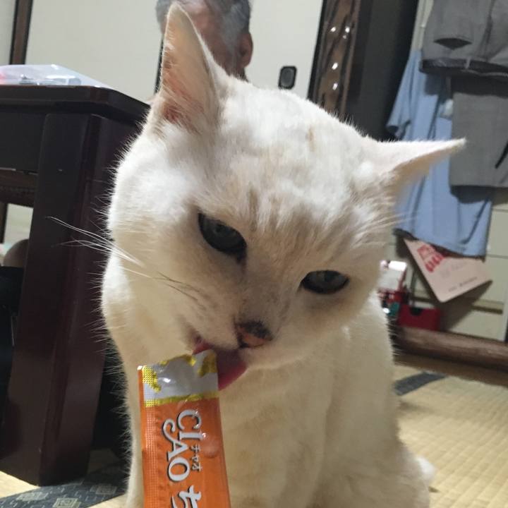 D9b758e4 0b21 41f4 98a5 14d0f9c4238f